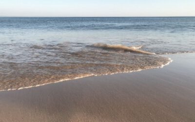 Die 3 wichtigsten Begriffe rund um Trauma | Und was sie bedeuten