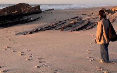 Der Herbst und unser Nervensystem | Über das Still werden und Durchatmen