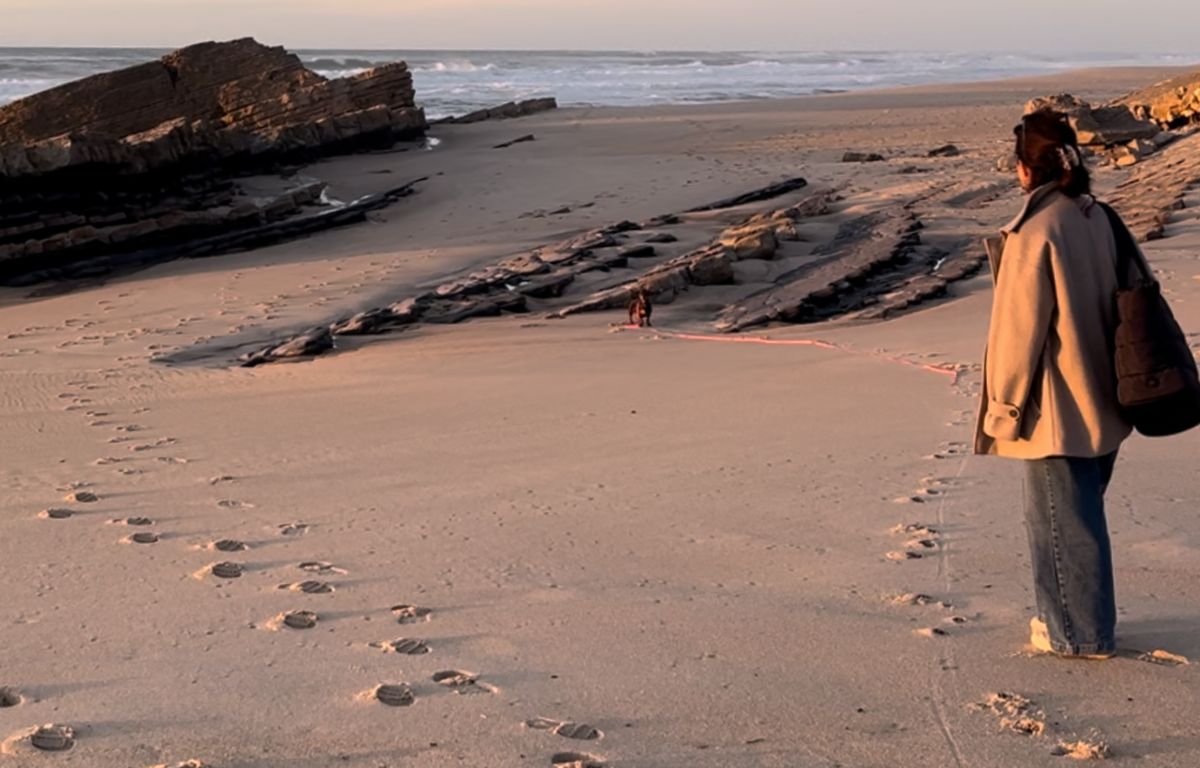 Blogfoto1 (1200 x 768 px) herbst-nervensystem