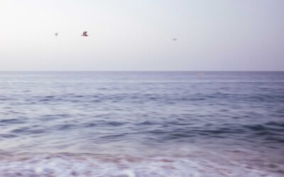 Warum ich nicht alles teile | Und trotzdem authentisch arbeite